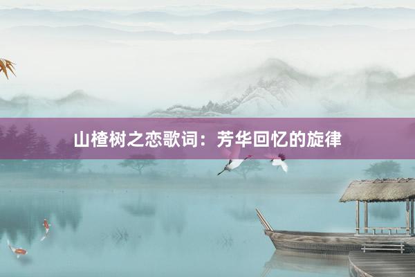 山楂树之恋歌词：芳华回忆的旋律